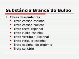 Substância Branca do Bulbo Fibras descendentes Trato córtico-espinhal Trato córtico-nuclear Trato tecto-espinhal Trato rubro-espinhal Trato vestíbulo-espinhal Trato retículo-espinhal Trato espinhal do trigêmio Trato solitário 