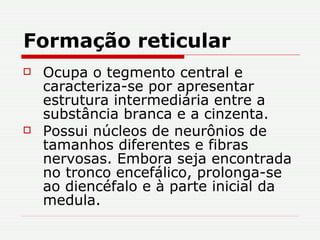 Formação reticular Ocupa o tegmento central e caracteriza-se por apresentar estrutura intermediária entre a substância branca e a cinzenta.  Possui núcleos de neurônios de tamanhos diferentes e fibras nervosas. Embora seja encontrada no tronco encefálico, prolonga-se ao diencéfalo e à parte inicial da medula.   
