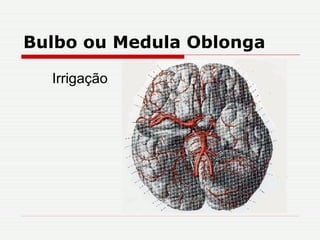 Bulbo ou Medula Oblonga Irrigação 