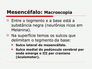 Mesencéfalo:  Macroscopia Entre o tegmento e a base está a substância negra (neurônios ricos em Melanina). Na superfície temos os sulcos que delimitam o tegmento da base: Sulco lateral do mesencéfalo. Sulco medial do pedúnculo cerebral por onde emerge o III par craniano (óculomotor). 