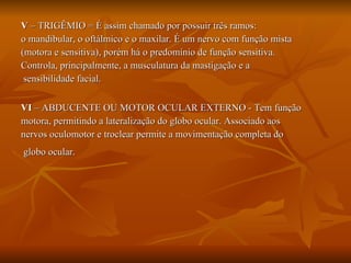 V  – TRIGÊMIO = É assim chamado por possuir três ramos:  o mandibular, o oftálmico e o maxilar. É um nervo com função mista (motora e sensitiva), porém há o predomínio de função sensitiva. Controla, principalmente, a musculatura da mastigação e a sensibilidade facial. VI  – ABDUCENTE OU MOTOR OCULAR EXTERNO - Tem função  motora, permitindo a lateralização do globo ocular. Associado aos nervos oculomotor e troclear permite a movimentação completa do globo ocular.   