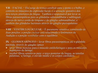 VII  – FACIAL = Ele surge do tronco cerebral entre a ponte e o bulbo, e controla os músculos da expressão facial, e a sensação gustativa dos dois terços anteriores da língua.  Também é responsável por levar as fíbras parassimpáticas para as glândulas submandibular e sublingual, através do nervo corda do tímpano e do gânglio submandibular; e também das glândulas lacrimais através do gânglio pteriopalatino. VIII  – VESTÍBULOCOCLEAR = É puramente sensitivo, constituído de duas porções: a porção  coclear  está relacionada a fenômenos da  Audição e a porção  vestibular  com o equilíbrio. IX  – GLOSSOFARÍNGEO = levar fibras parassimpáticas até a glândula parótida, através do gânglio óptico  levar fibras motoras para o músculo estiilofaríngeo e para os músculos superiores da faringe.  receber fibras sensitivas para: o terço posterior da língua, as tonsilas palatinas,  a faringe, o ouvido médio e os corpos carotídeos. 
