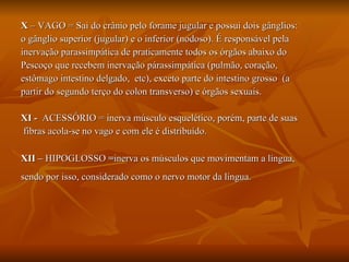 X  – VAGO = Sai do crânio pelo forame jugular e possui dois gânglios: o gânglio superior (jugular) e o inferior (nodoso). É responsável pela inervação parassimpática de praticamente todos os órgãos abaixo do Pescoço que recebem inervação párassimpática (pulmão, coração,  estômago intestino delgado,  etc), exceto parte do intestino grosso  (a partir do segundo terço do colon transverso) e órgãos sexuais. XI -  ACESSÓRIO = inerva músculo esquelético, porém, parte de suas fibras acola-se no vago e com ele é distribuído. XII –  HIPOGLOSSO  = inerva os músculos que movimentam a língua,  sendo por isso, considerado como o nervo motor da língua.   