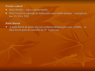 Porção ventral Sulco basilar – aloja a artéria basilar Parte Ventral é separada do bulbo pelo sulco bulbo pontino – emergência dos VI, VII e VIII Parte Dorsal A parte dorsal da ponte não tem nenhuma demarcação com  o bulbo – as duas fazem parte do assoalho do IV Ventrículo 