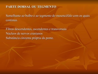 PARTE DORSAL OU TEGMENTO Semelhante ao bulbo e ao tegmento do mesencéfalo com os quais continua. Fibras descendentes, ascendentes e transversais Núcleos de nervos cranianos Substância cinzenta própria da ponte. 