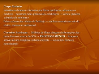 Corpo Medular Substâncias brancas é formado por fibras mielínicas; aferentes ao cerebelo – penetram pelos pedunculos cerebelares  -> córtex (perdem a bainha de mielina) e Pelos axônios das células de Purkinje  -> núcleos centrais (ao sair do  córtex, tornam-se mielínicas) Conexões Extrísecas –  Milhões de fibras chegam (informações dos  mais diversos setores do SN)  ->  PROCESSAMENTO  – Resposta  através de um complexo sistema eferente -> neurônios motores  homolaterais 