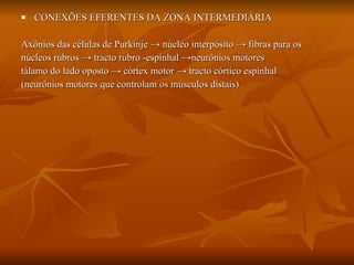 CONEXÕES EFERENTES DA ZONA INTERMEDIÁRIA Axônios das células de Purkinje  ->  núcleo interpósito  -> fibras para os  núcleos rubros -> tracto rubro -espinhal ->neurônios motores tálamo do lado oposto -> córtex motor -> tracto córtico espinhal  (neurônios motores que controlam os músculos distais) 