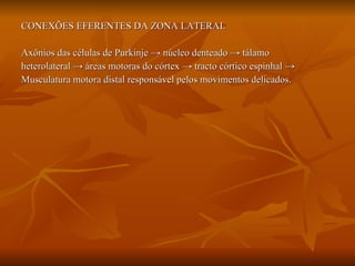 CONEXÕES EFERENTES DA ZONA LATERAL Axônios das células de Purkinje  -> núcleo denteado -> tálamo  heterolateral -> áreas motoras do córtex -> tracto córtico espinhal -> Musculatura motora distal responsável pelos movimentos delicados. 