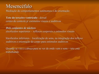 Mesencéfalo Mediação de comportamentos autônomos e de orientação. Teto   do terceiro ventrículo  - dorsal centro de controle p/ estímulos visuais e auditivos Dois conjuntos de núcleos a)colículos superiores -  reflexos corporais a estímulos visuais  b)colículos inferiores – localização de sons, na integração dos reflexo auditivos e orientação do corpo para estímulos auditivos Quando se vira a cabeça para se ver de onde vem o som = teto está trabalhando 