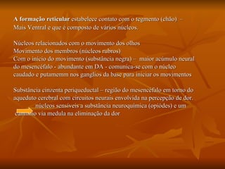 A formação reticular  estabelece contato com o tegmento (chão)  – Mais Ventral e que é composto de vários núcleos.   Núcleos relacionados com o movimento dos olhos Movimento dos membros (núcleos rubros) Com o início do movimento (substância negra) –  maior acúmulo neural do mesencéfalo - abundante em DA - comunica-se com o núcleo caudado e putamemm nos ganglios da base para iniciar os movimentos Substância cinzenta periqueductal – região do mesencéfalo em torno do aqueduto cerebral com circuitos neurais envolvida na percepção de dor. núcleos sensíveis a substância neuroquímica (opiódes) e um caminho via medula na eliminação da dor 