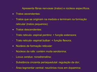 Apresenta fibras nervosas (tratos) e núcleos específicos.
Apresenta fibras nervosas (tratos) e núcleos específicos.
♣ Tratos ascendentes:
Tratos ascendentes:
- Tratos que se originam na medula e terminam na formação
Tratos que se originam na medula e terminam na formação
reticular (tratos pequenos);
reticular (tratos pequenos);
♣ Tratos descendentes:
Tratos descendentes:
- Trato reticulo- espinal pontino: + função extensora;
Trato reticulo- espinal pontino: + função extensora;
- Trato reticulo- espinal bulbar: +
Trato reticulo- espinal bulbar: + função flexora;
função flexora;
♣ Núcleos de formação reticular:
Núcleos de formação reticular:
- Núcleos da rafe: contém muita serotonina;
Núcleos da rafe: contém muita serotonina;
- Locus cerelus: noradrenalina;
Locus cerelus: noradrenalina;
- Substância cinzenta periaquedutal: regulação da dor;
Substância cinzenta periaquedutal: regulação da dor;
- Área tegmentar ventral: neurônios ricos em dopamina;
Área tegmentar ventral: neurônios ricos em dopamina;
 