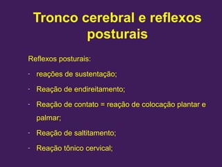 Tronco cerebral e reflexos
posturais
Reflexos posturais:
- reações de sustentação;
- Reação de endireitamento;
- Reação de contato = reação de colocação plantar e
palmar;
- Reação de saltitamento;
- Reação tônico cervical;
 