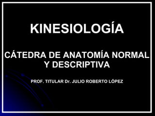 KINESIOLOGÍA CÁTEDRA DE ANATOMÍA NORMAL Y DESCRIPTIVA PROF. TITULAR Dr. JULIO ROBERTO LÓPEZ 