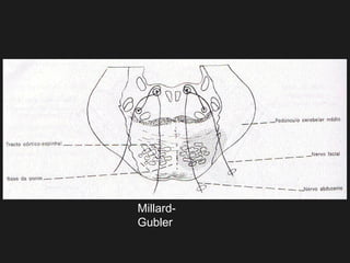 Millard-
Gubler
 