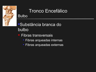 Tronco Encefálico
Bulbo
Substância branca do
bulbo
 Fibras transversais

Fibras arqueadas internas

Fibras arqueadas externas
 