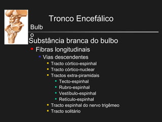 Tronco Encefálico
Bulb
o
 Substância branca do bulbo
 Fibras longitudinais

Vias descendentes
 Tracto córtico-espinhal
 Tracto córtico-nuclear
 Tractos extra-piramidais

Tecto-espinhal

Rubro-espinhal

Vestíbulo-espinhal

Retículo-espinhal
 Tracto espinhal do nervo trigêmeo
 Tracto solitário
 
