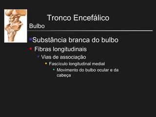 Tronco Encefálico
Bulbo
Substância branca do bulbo
 Fibras longitudinais

Vias de associação
 Fascículo longitudinal medial

Movimento do bulbo ocular e da
cabeça
 