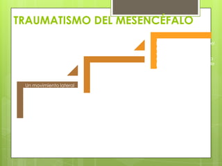 TRAUMATISMO DEL MESENCÉFALO

Un movimiento lateral
súbito de la cabeza
puede originarse que
los pedúnculos
cerebrales choquen
contra el borde libre
rígido y agudo de la
tienda del cerebelo.

La afectación del
núcleo del nervio
oculomotor puede
producir paralisis
ipsolateral del
elevador del parpado
superior, de los
músculos recto
superior, inferior e
interno, y del musculo
oblicuo inferior.

El mal funcionamiento del
núcleo parasipatico
accesorio del nervio
oculomotor produce una
pupila dilatada, insensible
a la luz y que no se
contrae con la
acomodación.

 