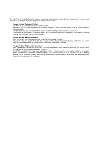 En esta “red de pescador” existen núcleos reticulares, vías reticulares ascendentes, descendentes y conexiones
locales de los nervios craneales. Es posible distinguir tres grupos:

    Grupo Nuclear Reticular Medial:
    Se ubica en la porción superior del bulbo raquídeo.
    Ocupa los dos tercios mediales de la formación reticular, constituyéndose a este nivel el núcleo reticular
    gigantocelular.
    Recibe aferencias de: corteza cerebral, tronco encefálico alto y núcleo reticular parvicelular.
    Sus eferencias se dirigen a: tronco encefálico alto, núcleos intralaminares del tálamo, hipotálamo y médula
    espinal por medio del tracto reticuloespinal.

    Grupo Nuclear Reticular Lateral:
    Está compuesto por el Núcleo Reticular Lateral y el Núcleo Parvicelular.
    Núcleo Parvicelular: recibe aferencias de: corteza cerebral, fibras espinorreticulares y colaterales que llevan
    impulsos provenientes de las vías auditivas, vestibular, trigeminal y visceral.

    Grupo Nuclear Reticular Paramediano:
    Está formado por un conjunto de núcleos ubicados lateralmente a los lemniscos mediales que envían fibras
    al cerebelo vía pedúnculos cerebelosos inferiores.
    Desde los núcleos del rafe magno del grupo paramediano existentes en la región bulbar medial se proyectan
    fibras secretoras de serotonina (serotoninérgicas) hacia las interneuronas de la sustancia gris de la médula
    espinal. Estas neuronas forman parte de la denominada vía descendente inhibitoria del dolor, elemento
    esencial en los procesos de analgesia.
 