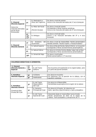 N. Masticatorio o           Se ubica a nivel del puente.
C. Visceral          5º     Motor del Trigémino         Inerva a los músculos derivados del 1º arco branquial.
Eferente Especial

Inerva los                  N. Motor del Facial         Se ubica a nivel del puente.
músculos derivados                                      Corresponde a fibras motoras somáticas.
                     7º     (Porción Gruesa)            Inerva a los músculos derivados del 2º arco branquial.
de los Arcos
Branquiales
                     9º                                 Se ubica a nivel del bulbo.
                     10º    N. Ambiguo                  Inerva a los músculos derivados del 3º y 4 arco
                     11º                                branquial.


                            N.   Accesorio        del   Se ubica a nivel de mesencéfalo. Núcleo parasimpático
                     3º     Oculomotor                  llamado también “Núcleo Pupilar y Fotoacomodador”
C. Visceral
                            N. Salival Superior         Se ubica arriba del Núcleo Salival Inferior, en el puente
Eferente General     7º                                 Corresponde a fibras secretomotoras parasimpáticas.
                            N. Salival Inferior         Se ubica en el límite Pontino-Bulbar (algo más arriba).
                     9º                                 Corresponde a fibras secretomotoras parasimpáticas
                            N. Dorsal del Vago          Se ubica a nivel bulbar.
                     10º                                Núcleo parasimpático ( 1ª neurona)



COLUMNAS SENSITIVAS O AFERENTES.


 C. Visceral          7º
Aferente General y    9º      N. del Tracto              Se encuentra principalmente en la región bulbar, pero
Especial              10º     Solitario                  en parte del puente también.


C. Somática           8º      Cocleares                  Se ubica en el puente.
Aferente Especial                                        Se relacionan con la posición de la cabeza, con el
                      8º      Vestibulares               equilibrio vestibular.


                              N. del Tracto              Se ubica en el Mesencéfalo
                      5º      Mesencefálico              Sensibilidad propioceptiva de la región de la cabeza.
C. Somática                   del V par
Aferente General
                              N. Sensitivo               Se ubica en el Puente. Se relaciona con
Constituye Raíz       5º      Principal del V par        tacto: epicrítico (discriminativo) y tacto protopático.
Gruesa del V par
                              N. del Tracto              Desciende desde el mesencéfalo hacia el bulbo
                      5º      Espinal del V par          Recibe sensaciones de dolor de la región de la
                                                         cabeza. Tacto protopático y sensaciones de Tº.
 