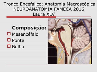 Tronco Encefálico: Anatomia Macroscópica
NEUROANATOMIA FAMECA 2016
Laura XLV
Composição:
 Mesencéfalo
 Ponte
 Bulbo
 