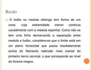 BULBO
 O bulbo ou medula oblonga tem forma de um
cone, cuja extremidade menor continua
caudalmente com a medula espinhal. Como não se
tem uma linha demarcando a separação entre
medula e bulbo, considera-se que o limite está em
um plano horizontal que passa imediatamente
acima do filamento radicular mais cranial do
primeiro nervo cervical, o que corresponde ao nível
do forame magno.
 