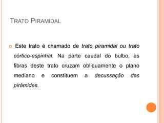 TRATO PIRAMIDAL
 Este trato é chamado de trato piramidal ou trato
córtico-espinhal. Na parte caudal do bulbo, as
fibras deste trato cruzam obliquamente o plano
mediano e constituem a decussação das
pirâmides.
 