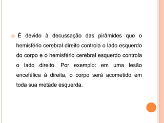  É devido à decussação das pirâmides que o
hemisfério cerebral direito controla o lado esquerdo
do corpo e o hemisfério cerebral esquerdo controla
o lado direito. Por exemplo: em uma lesão
encefálica à direita, o corpo será acometido em
toda sua metade esquerda.
 