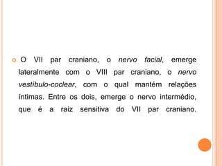  O VII par craniano, o nervo facial, emerge
lateralmente com o VIII par craniano, o nervo
vestíbulo-coclear, com o qual mantém relações
íntimas. Entre os dois, emerge o nervo intermédio,
que é a raiz sensitiva do VII par craniano.
 