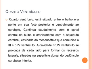 QUARTO VENTRÍCULO
 Quarto ventrículo: está situado entre o bulbo e a
ponte em sua face posterior e ventralmente ao
cerebelo. Continua caudalmente com o canal
central do bulbo e cranialmente com o aqueduto
cerebral, cavidade do mesencéfalo que comunica o
III e o IV ventrículo. A cavidade do IV ventrículo se
prolonga de cada lado para formar os recessos
laterais, situados na superfície dorsal do pedúnculo
cerebelar inferior.
 