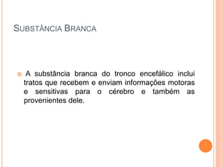 SUBSTÂNCIA BRANCA
 A substância branca do tronco encefálico inclui
tratos que recebem e enviam informações motoras
e sensitivas para o cérebro e também as
provenientes dele.
 