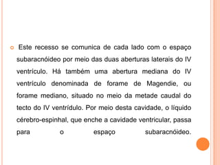  Este recesso se comunica de cada lado com o espaço
subaracnóideo por meio das duas aberturas laterais do IV
ventrículo. Há também uma abertura mediana do IV
ventrículo denominada de forame de Magendie, ou
forame mediano, situado no meio da metade caudal do
tecto do IV ventrídulo. Por meio desta cavidade, o líquido
cérebro-espinhal, que enche a cavidade ventricular, passa
para o espaço subaracnóideo.
 