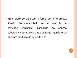 Este plexo corióide tem a forma de "T" e produz
líquido cérebro-espinhal, que se acumula na
cavidade ventricular passando ao espaço
subaracnóideo através das aberturas laterais e da
abertura mediana do IV ventrículo.
 