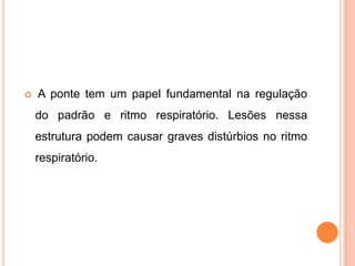  A ponte tem um papel fundamental na regulação
do padrão e ritmo respiratório. Lesões nessa
estrutura podem causar graves distúrbios no ritmo
respiratório.
 