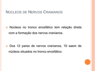 NÚCLEOS DE NERVOS CRANIANOS
 Núcleos no tronco encefálico tem relação direta
com a formação dos nervos cranianos.
 Dos 12 pares de nervos cranianos, 10 saem de
núcleos situados no tronco encefálico.
 