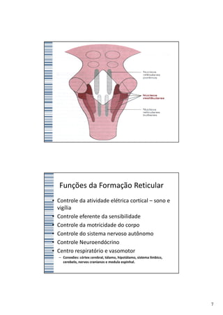 Funções da Formação Reticular
• Controle da atividade elétrica cortical – sono e
  vigília
• Controle eferente da sensibilidade
• Controle da motricidade do corpo
• Controle do sistema nervoso autônomo
• Controle Neuroendócrino
• Centro respiratório e vasomotor
  – Conexões: córtex cerebral, tálamo, hipotálamo, sistema límbico,
    cerebelo, nervos cranianos e medula espinhal.




                                                                      7
 