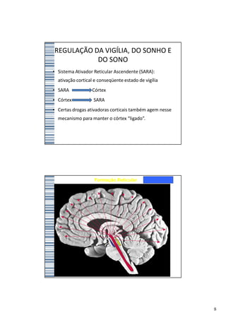 REGULAÇÃO DA VIGÍLIA, DO SONHO E
           DO SONO
• Sistema Ativador Reticular Ascendente (SARA):
  ativação cortical e conseqüente estado de vigília
• SARA            Córtex
• Córtex           SARA
• Certas drogas ativadoras corticais também agem nesse
  mecanismo para manter o córtex “ligado”.




                   Formação Reticular




                                                         8
 