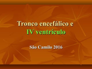 Tronco encefálico eTronco encefálico e
IV ventrículoIV ventrículo
São Camilo 2016São Camilo 2016
 