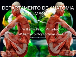 DEPARTAMENTO DE ANATOMIA
HUMANA
• Williams Pinto( Pintinho)
• Williamsc.pinto@hotmail.com
 