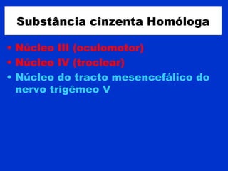 Substância cinzenta Homóloga
• Núcleo III (oculomotor)
• Núcleo IV (troclear)
• Núcleo do tracto mesencefálico do
nervo trigêmeo V
 
