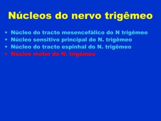 Núcleos do nervo trigêmeo
• Núcleo do tracto mesencefálico do N trigêmeo
• Núcleo sensitivo principal do N. trigêmeo
• Núcleo do tracto espinhal do N. trigêmeo
• Núcleo motor do N. trigêmeo
 