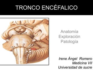 TRONCO ENCÉFALICO Anatomía Exploración  Patología  Irene Ángel  Romero Medicina VII Universidad de sucre 