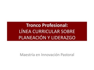 Tronco Profesional:
LÍNEA CURRICULAR SOBRE
PLANEACIÓN Y LIDERAZGO
Maestría en Innovación Pastoral
 