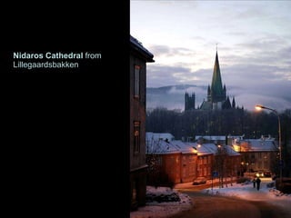 Nidaros Cathedral  from Lillegaardsbakken 