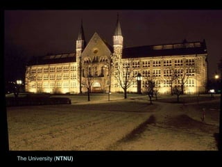 The University ( NTNU) 