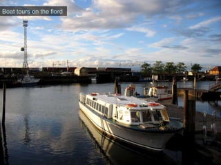 Boat tours on the fiord 