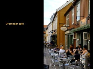 Dromedar café 