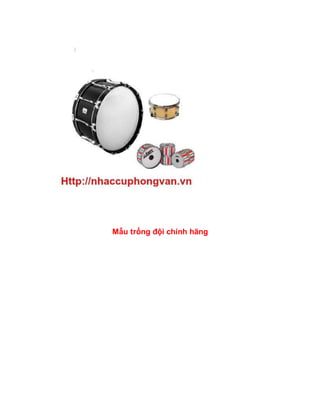 Mẫu trống đội chính hãng
 