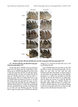 Tạp chí Khoa học Trường Đại học Cần Thơ Phần B: Nông nghiệp, Thủy sản và Công nghệ Sinh học: 28 (2013): 59-68
65
Hình 5: Sự thay đổi mức độ biến đen của tôm trong quá trình bảo quản lạnh ở 2o
C
3.5 Oxi hóa chất béo của thịt tôm trong quá
trình bảo quản lạnh ở 2o
C
Sự thay đổi giá trị TBARS trong quá trình bảo
quản tôm ở 2o
C được trình bày trong Hình 6. Nhìn
chung, giá trị TBARS tăng đáng kể (p<0,05) trong
5 ngày bảo quản đầu tiên đối với mẫu đối chứng.
Trong khi đó đối với mẫu xử lý bằng GTE thì sự
tăng của TBARS chậm hơn và đạt cao nhất ở 7
ngày bảo quản. Mẫu xử lý bằng GTE luôn có giá
trị TBARS thấp hơn đáng kể (p<0,05) so với mẫu
đối chứng trong suốt quá trình bảo quản. Cụ thể,
trong 5 ngày bảo quản đầu tiên giá trị TBARS của
mẫu đối chứng tăng từ 1,13 đến 2,86 mg MAD/kg
thịt tôm, trong khi đó đối với mẫu xử lý bằng GTE
là 1,15 đến 2,26 mg MAD/kg thịt tôm. Tại thời
điểm 9 ngày bảo quản, giá trị TBARS của mẫu đối
chứng là 2,31, trong khi đó mẫu GTE chỉ là 1,80
mg MAD/kg thịt tôm.
Giá trị TBARS tăng là do quá trình oxi hóa chất
béo diễn ra mạnh mẽ trong giai đoạn đầu, các sản
phẩm của quá trình oxi hóa chất béo như
hydroperoxide được hình thành và nhanh chóng bị
oxi hóa thành các sản phẩm bậc hai như aldehyte
(Benjakul et al., 2005). Các sản phẩm oxi hóa bậc
hai tiếp tục bị biến đổi thành các sản phẩm khác
dưới tác động của enzyme và vi sinh vật, dẫn đến
làm giảm hàm lượng của TBARS (Nirmal và
Benjakul, 2009a). Mẫu tôm được xử lý bằng GTE
có giá trị TBARS thấp hơn so với mẫu đối chứng
có thể là do trong dịch chiết GTE có chứa các chất
chống oxi hóa như đã được thảo luận ở trên.
 