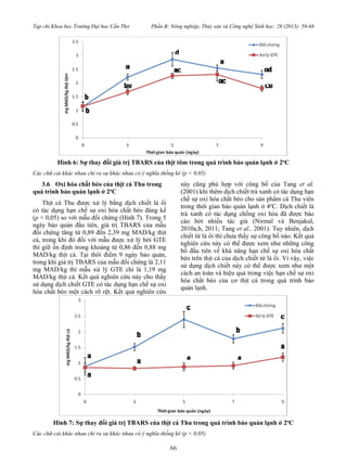 Tạp chí Khoa học Trường Đại học Cần Thơ Phần B: Nông nghiệp, Thủy sản và Công nghệ Sinh học: 28 (2013): 59-68
66
Hình 6: Sự thay đổi giá trị TBARS của thịt tôm trong quá trình bảo quản lạnh ở 2o
C
Các chữ cái khác nhau chỉ ra sự khác nhau có ý nghĩa thống kê (p < 0,05)
3.6 Oxi hóa chất béo của thịt cá Thu trong
quá trình bảo quản lạnh ở 2o
C
Thịt cá Thu được xử lý bằng dịch chiết lá ổi
có tác dụng hạn chế sự oxi hóa chất béo đáng kể
(p < 0,05) so với mẫu đối chứng (Hình 7). Trong 5
ngày bảo quản đầu tiên, giá trị TBARS của mẫu
đối chứng tăng từ 0,89 đến 2,39 mg MAD/kg thịt
cá, trong khi đó đối với mẫu được xử lý bởi GTE
thì giữ ổn định trong khoảng từ 0,86 đến 0,88 mg
MAD/kg thịt cá. Tại thời điểm 9 ngày bảo quản,
trong khi giá trị TBARS của mẫu đối chứng là 2,11
mg MAD/kg thì mẫu xử lý GTE chỉ là 1,19 mg
MAD/kg thịt cá. Kết quả nghiên cứu này cho thấy
sử dụng dịch chiết GTE có tác dụng hạn chế sự oxi
hóa chất béo một cách rõ rệt. Kết quả nghiên cứu
này cũng phù hợp với công bố của Tang et al.
(2001) khi thêm dịch chiết trà xanh có tác dụng hạn
chế sự oxi hóa chất béo cho sản phẩm cá Thu viên
trong thời gian bảo quản lạnh ở 4o
C. Dịch chiết lá
trà xanh có tác dụng chống oxi hóa đã được báo
cáo bởi nhiều tác giả (Nirmal và Benjakul,
2010a,b, 2011; Tang et al., 2001). Tuy nhiên, dịch
chiết từ lá ổi thì chưa thấy sự công bố nào. Kết quả
nghiên cứu này có thể được xem như những công
bố đầu tiên về khả năng hạn chế sự oxi hóa chất
béo trên thịt cá của dịch chiết từ lá ổi. Vì vậy, việc
sử dụng dịch chiết này có thể được xem như một
cách an toàn và hiệu quả trong việc hạn chế sự oxi
hóa chất béo của cơ thịt cá trong quá trình bảo
quản lạnh.
Hình 7: Sự thay đổi giá trị TBARS của thịt cá Thu trong quá trình bảo quản lạnh ở 2o
C
Các chữ cái khác nhau chỉ ra sự khác nhau có ý nghĩa thống kê (p < 0,05)
 